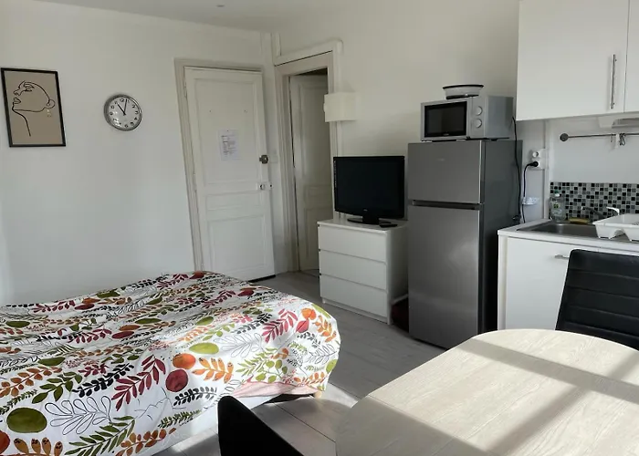 Meuble Et Lumineux 20m2 *