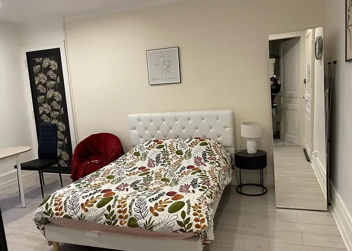 Meuble Et Lumineux 20m2 公寓 维泰勒